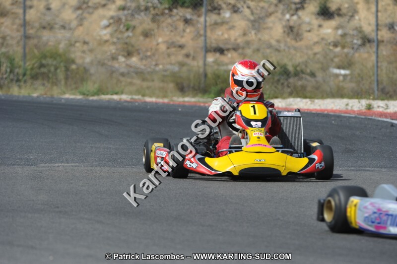 DSC (3208).JPG